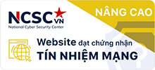 https://bodasenelcaribe.com.co/